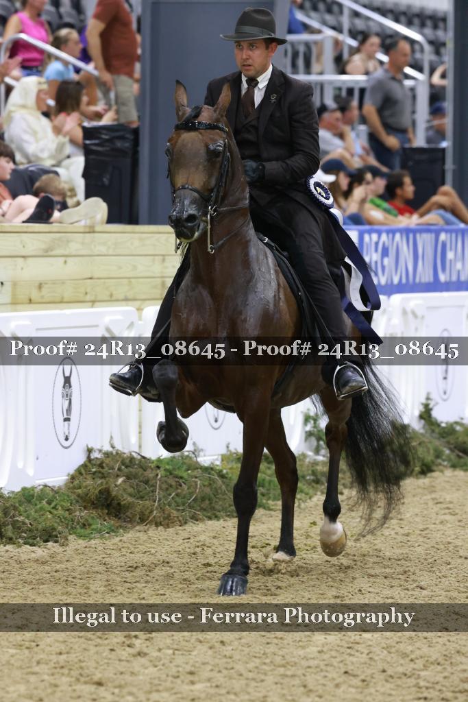 Proof 24R13_08645