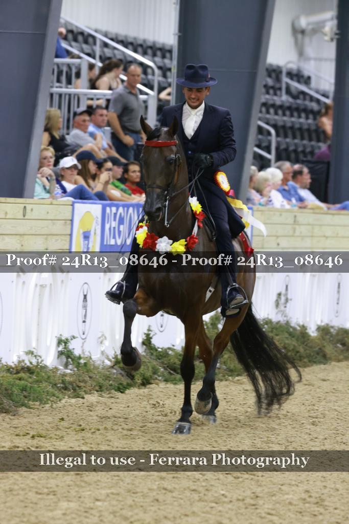 Proof 24R13_08646