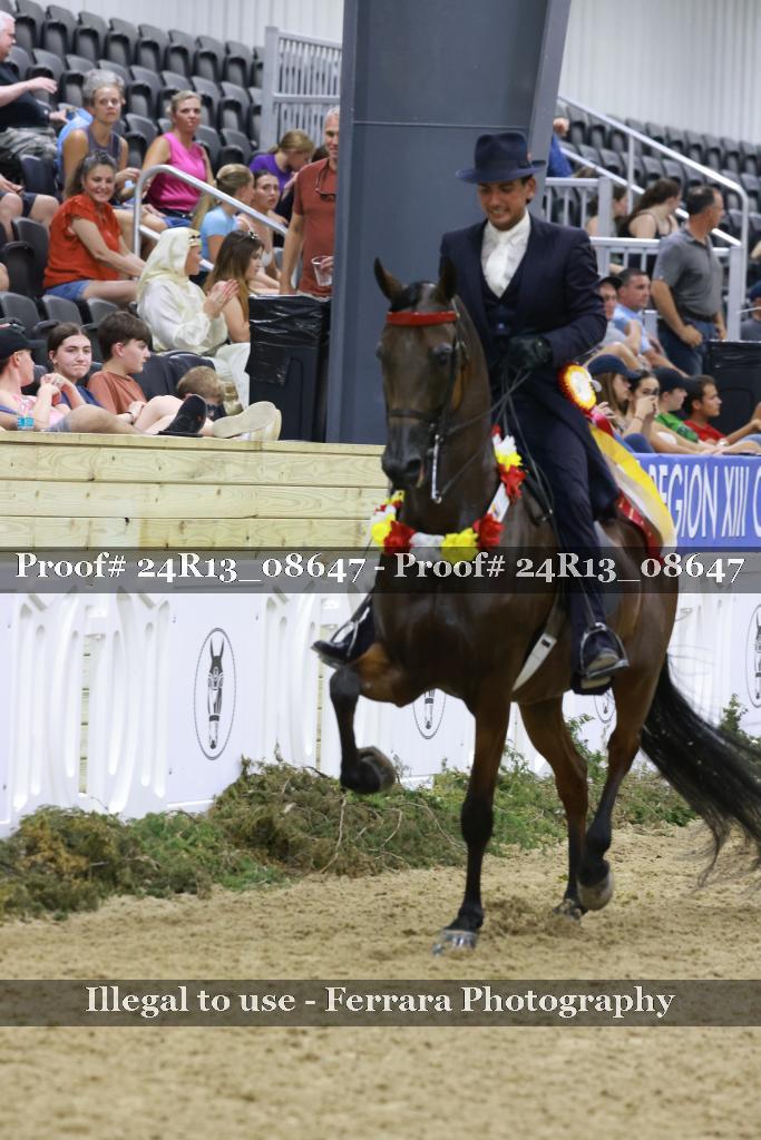 Proof 24R13_08647