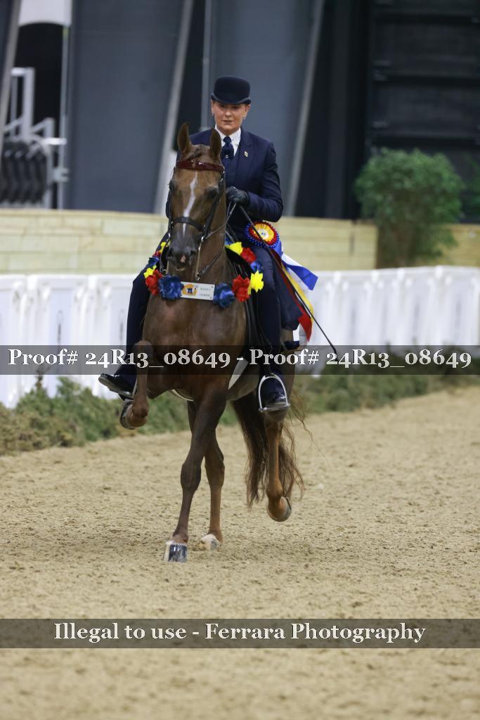 Proof 24R13_08649