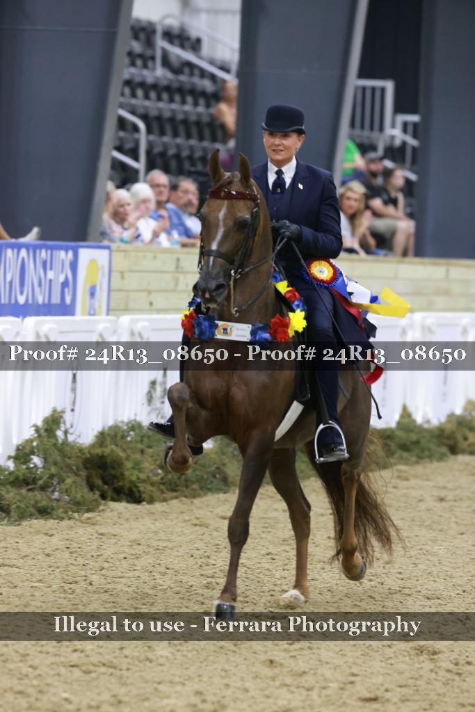 Proof 24R13_08650