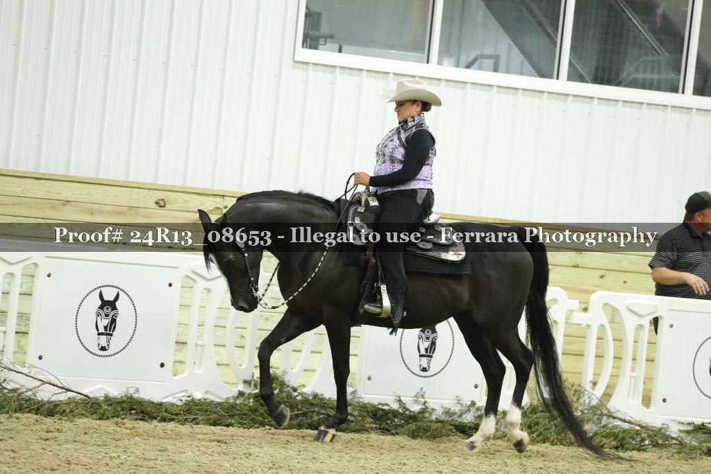 Proof 24R13_08653