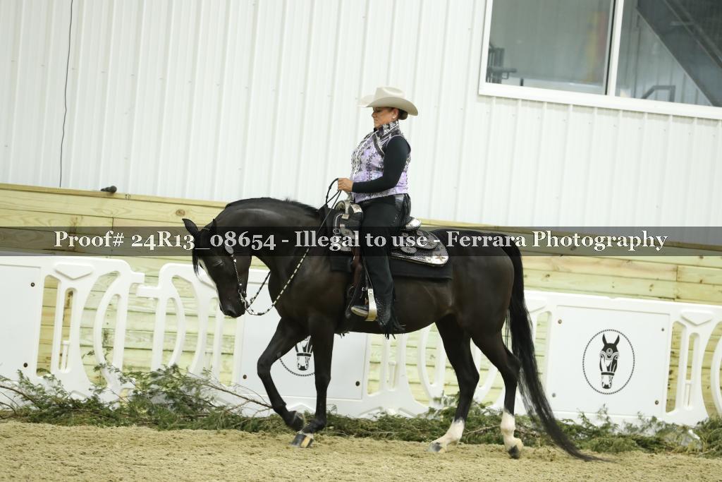 Proof 24R13_08654