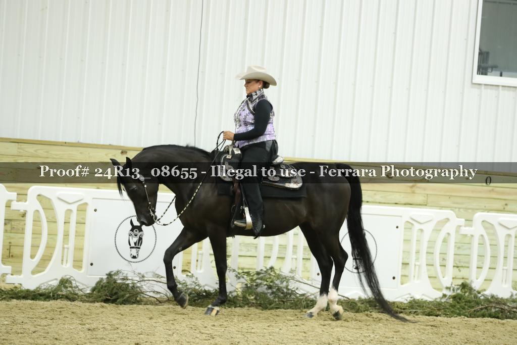 Proof 24R13_08655
