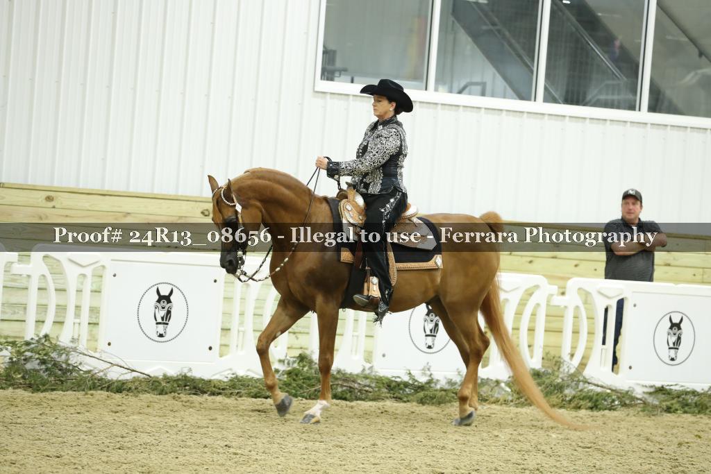Proof 24R13_08656