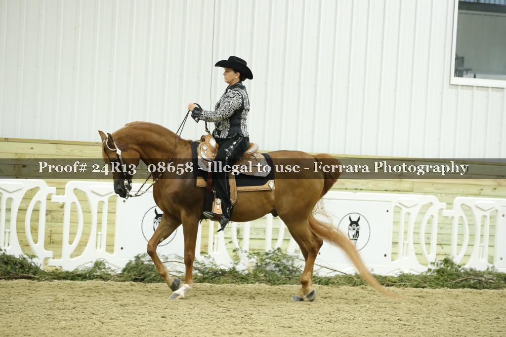 Proof 24R13_08658