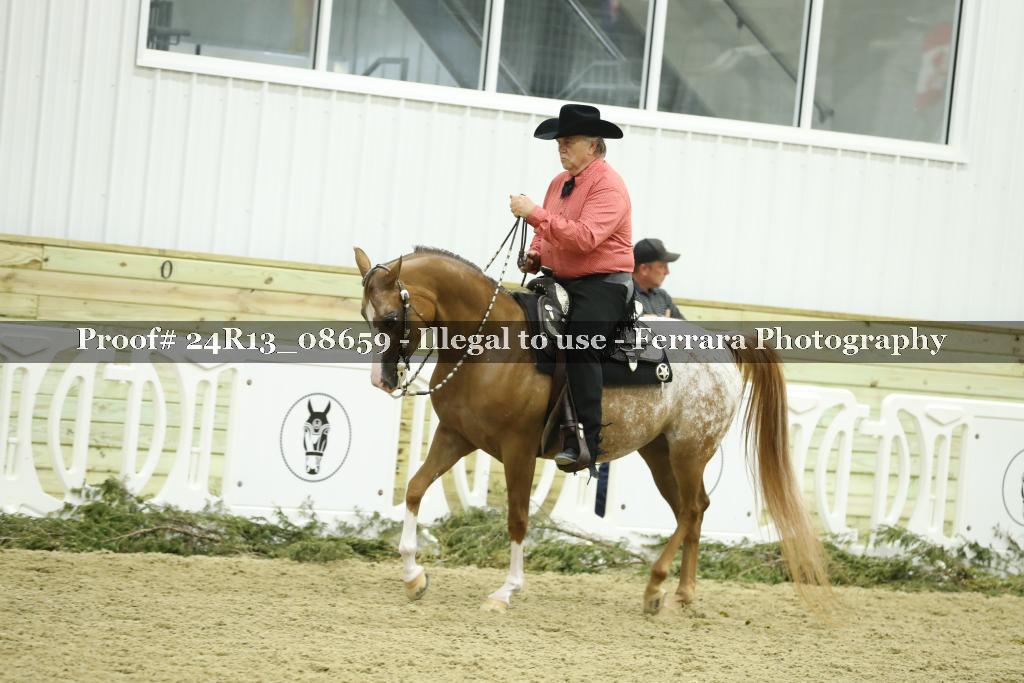 Proof 24R13_08659