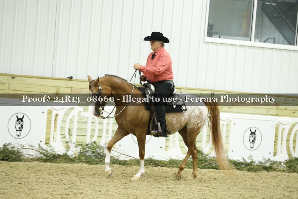 Proof 24R13_08660