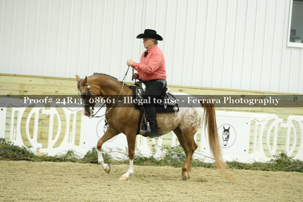 Proof 24R13_08661