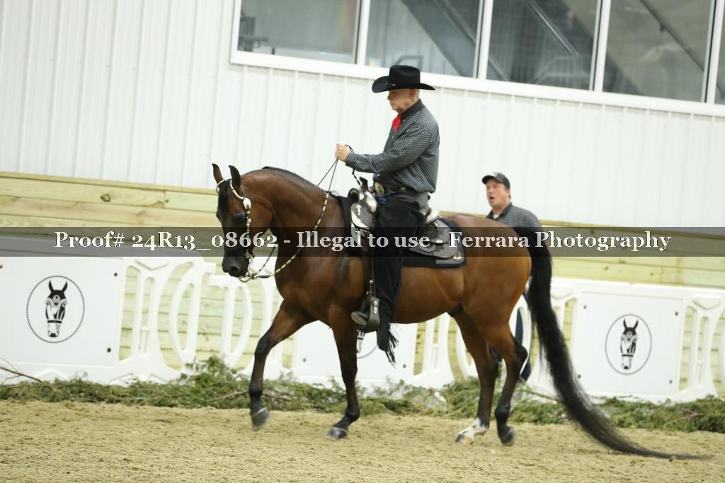Proof 24R13_08662