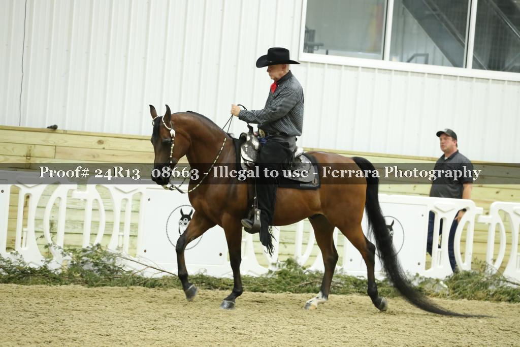 Proof 24R13_08663