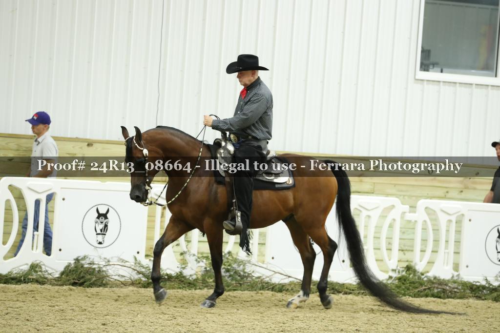 Proof 24R13_08664