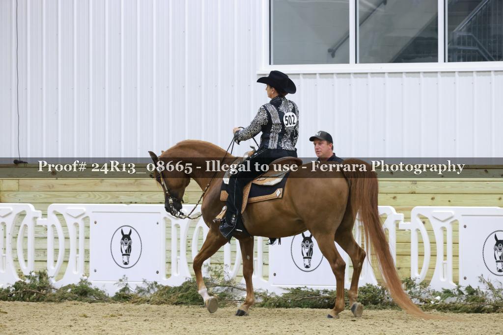 Proof 24R13_08665