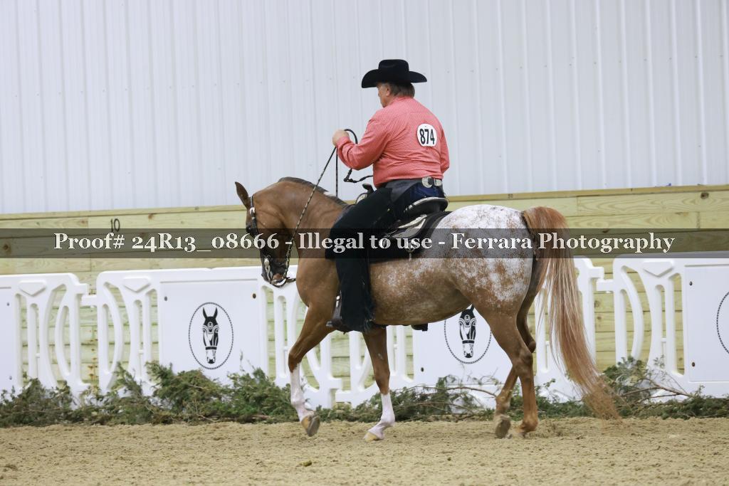 Proof 24R13_08666