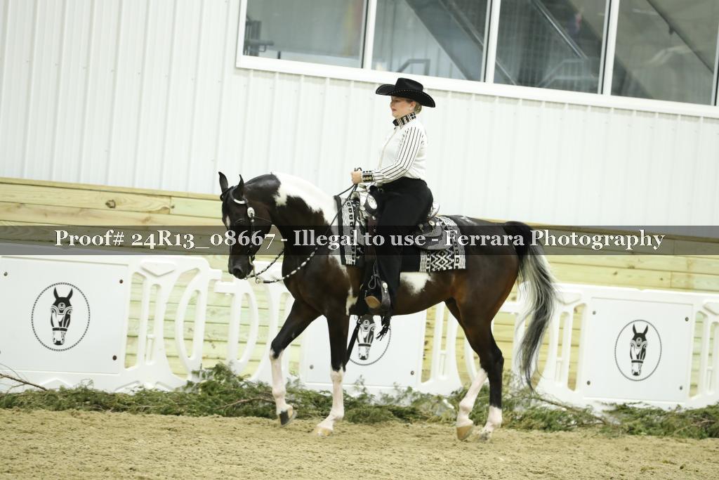 Proof 24R13_08667