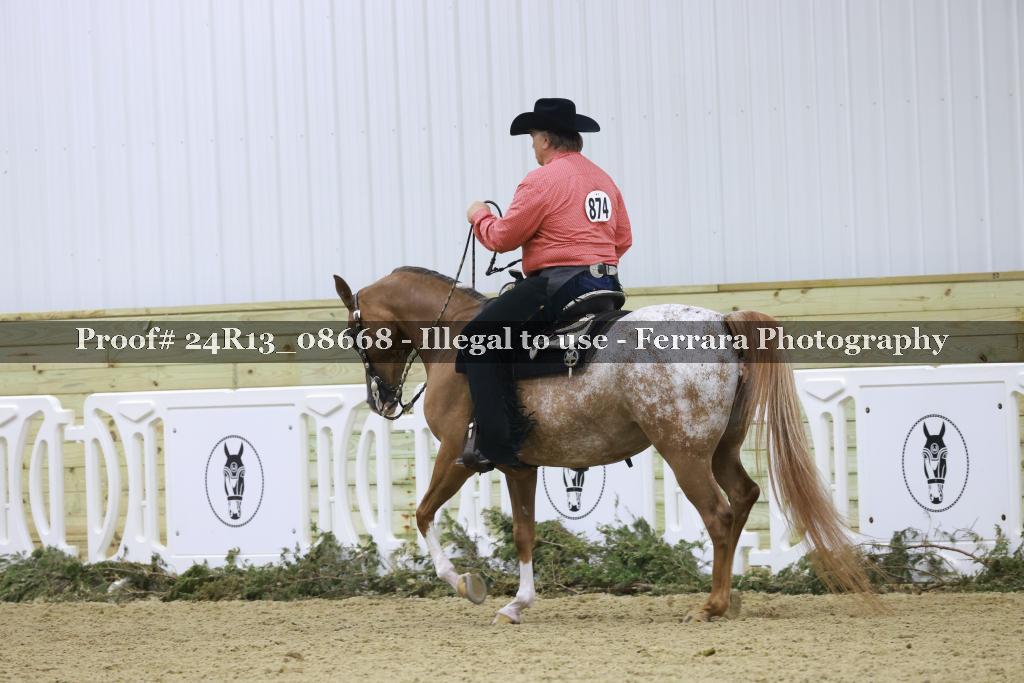 Proof 24R13_08668