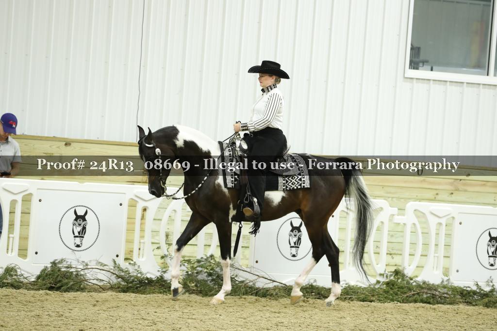 Proof 24R13_08669