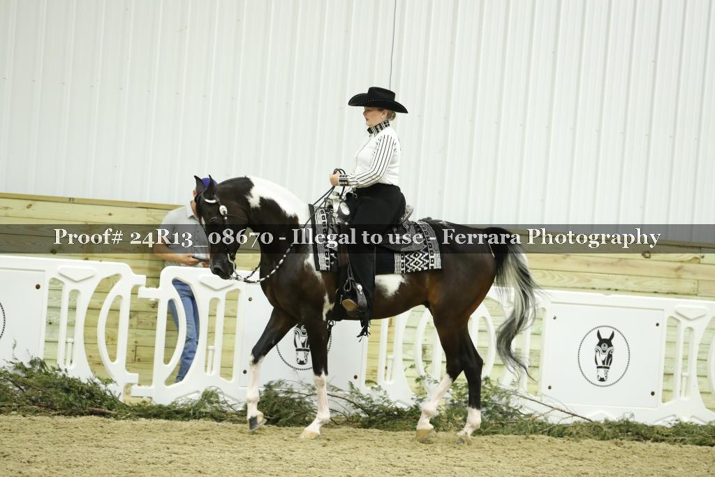 Proof 24R13_08670