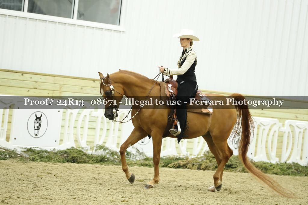 Proof 24R13_08671