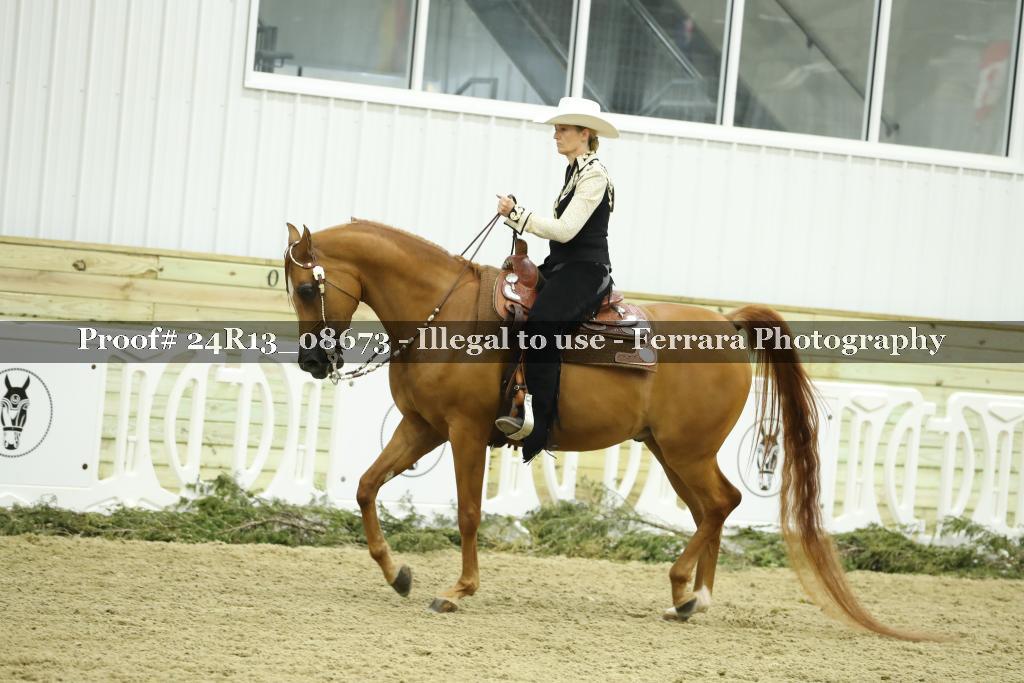 Proof 24R13_08673