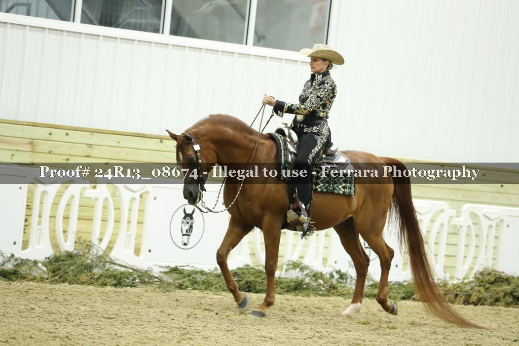 Proof 24R13_08674