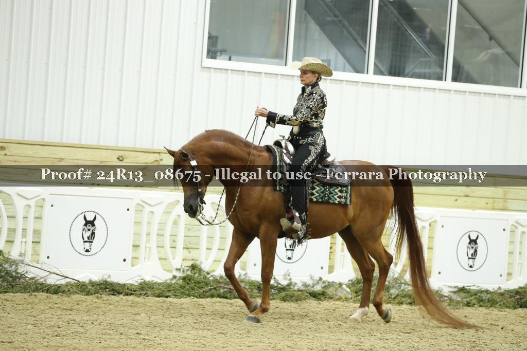 Proof 24R13_08675
