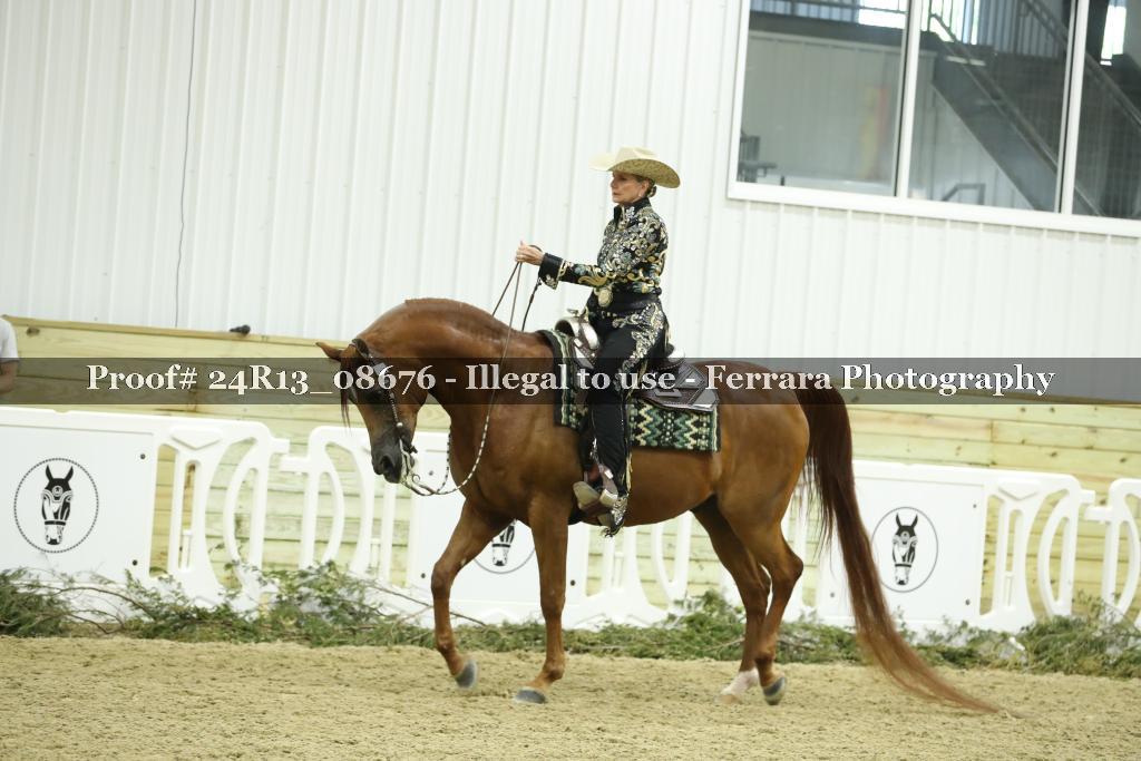 Proof 24R13_08676