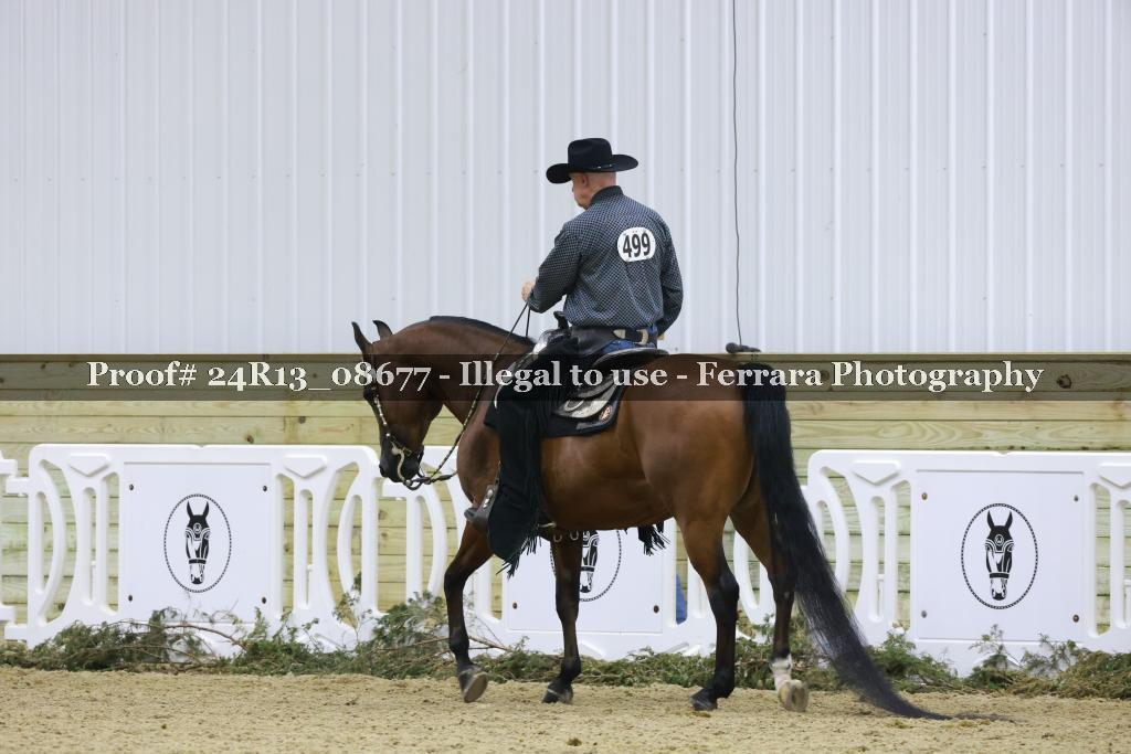 Proof 24R13_08677