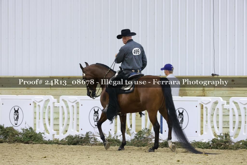 Proof 24R13_08678
