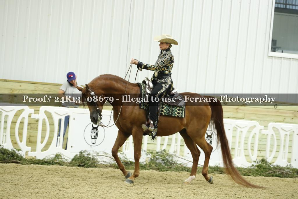 Proof 24R13_08679