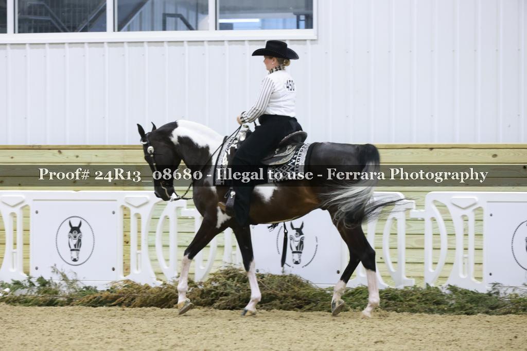 Proof 24R13_08680