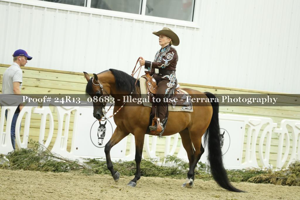 Proof 24R13_08683