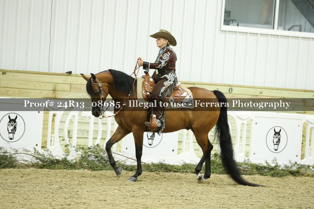 Proof 24R13_08685
