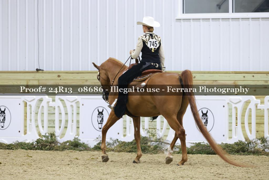 Proof 24R13_08686