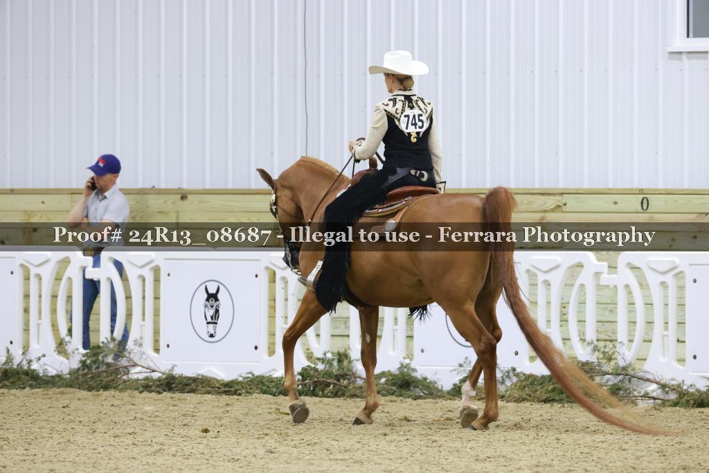 Proof 24R13_08687