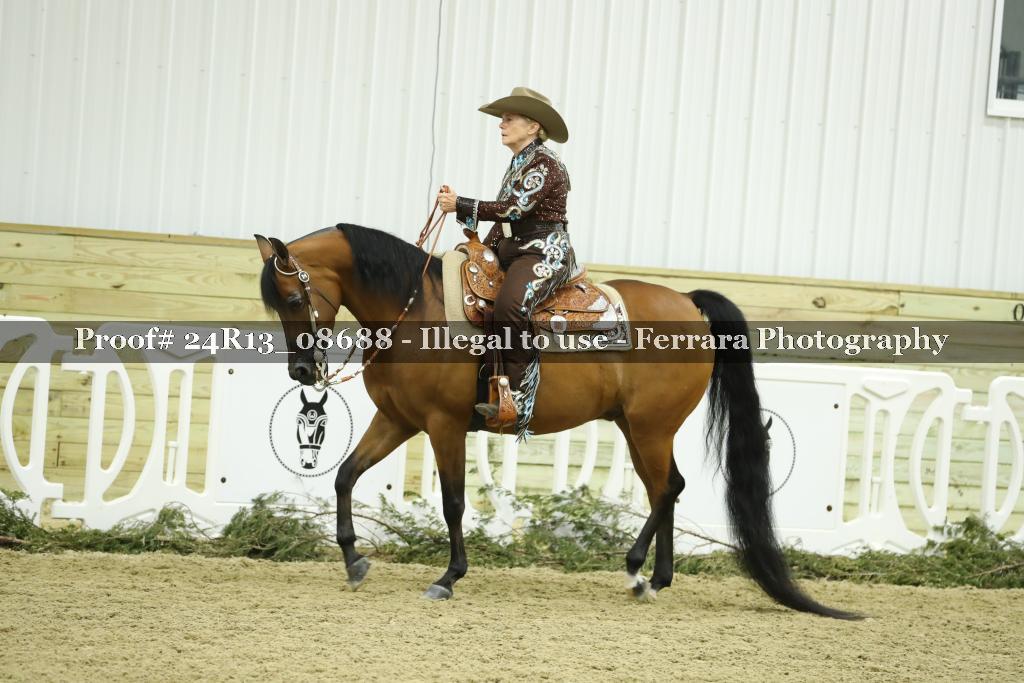 Proof 24R13_08688