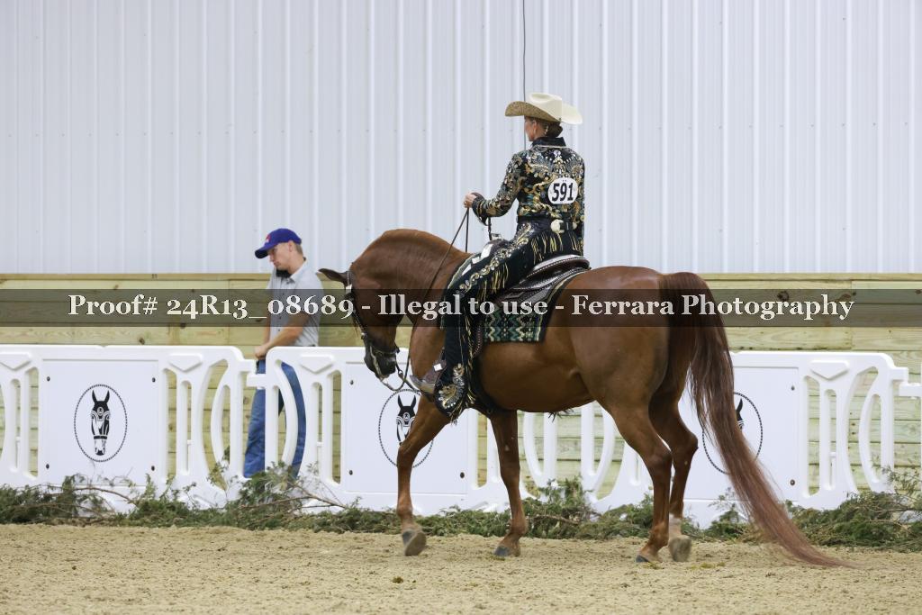 Proof 24R13_08689