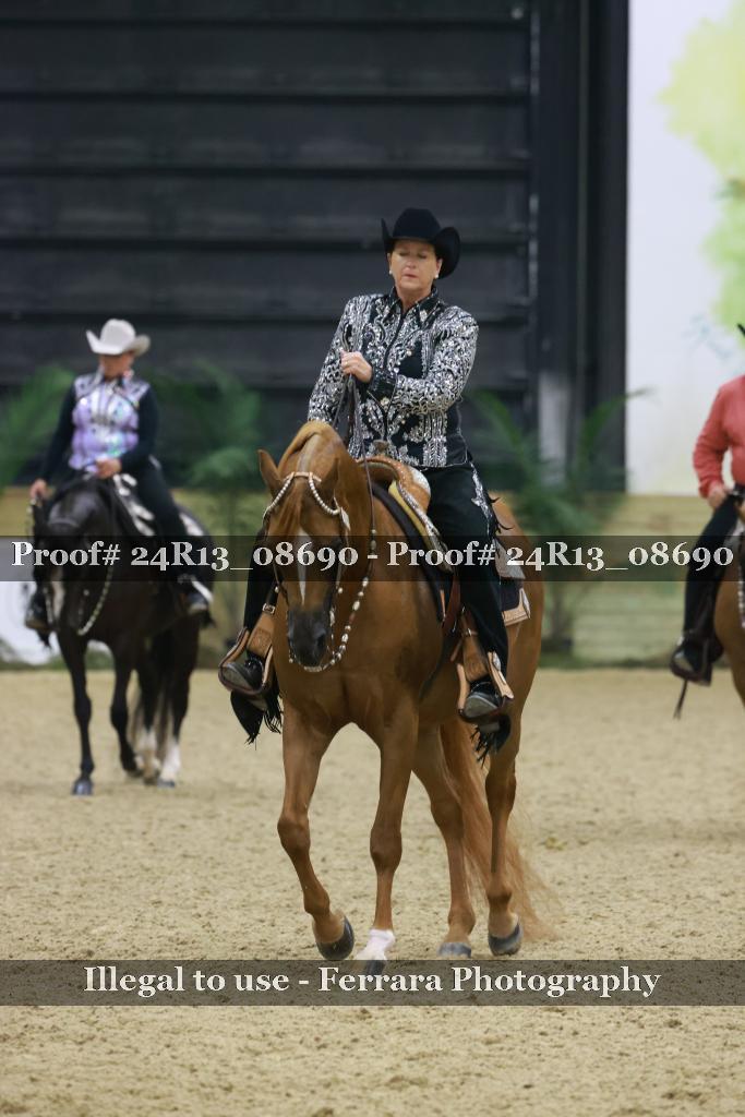 Proof 24R13_08690
