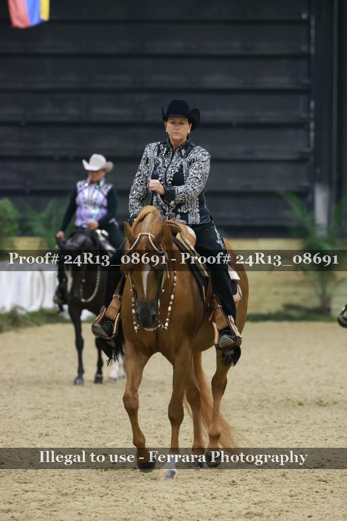 Proof 24R13_08691