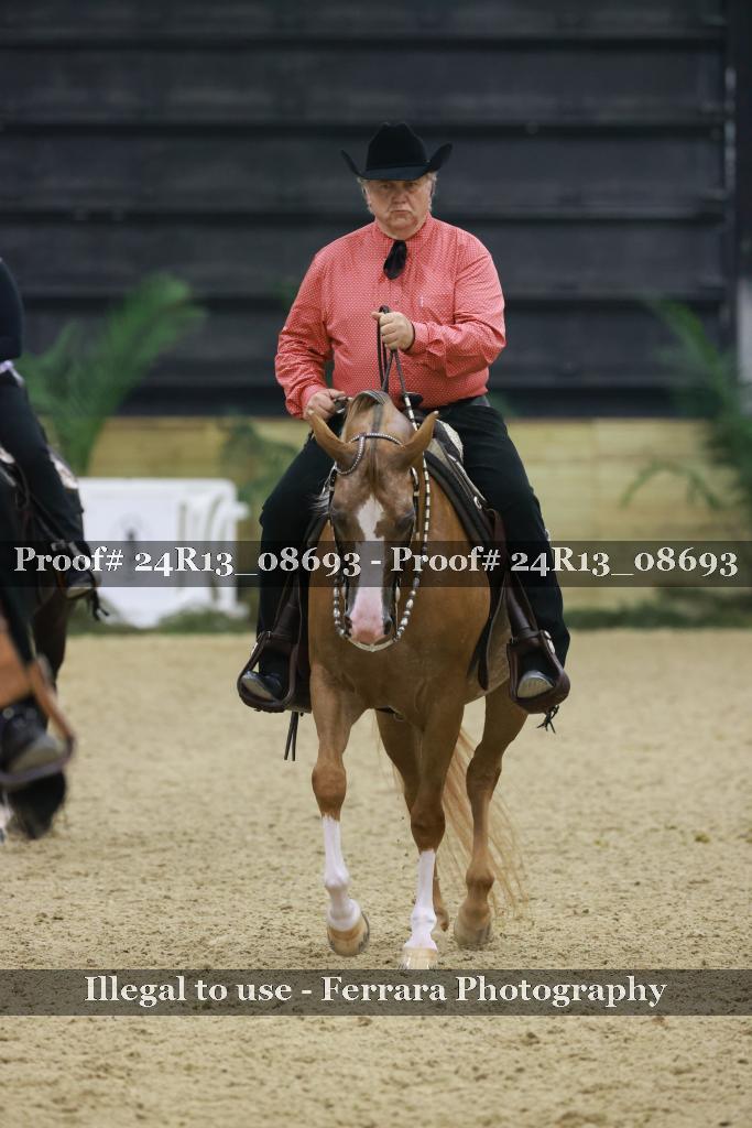 Proof 24R13_08693
