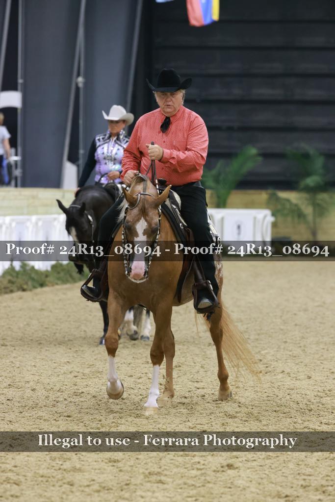 Proof 24R13_08694
