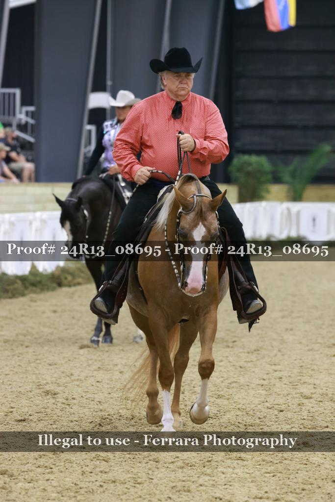 Proof 24R13_08695