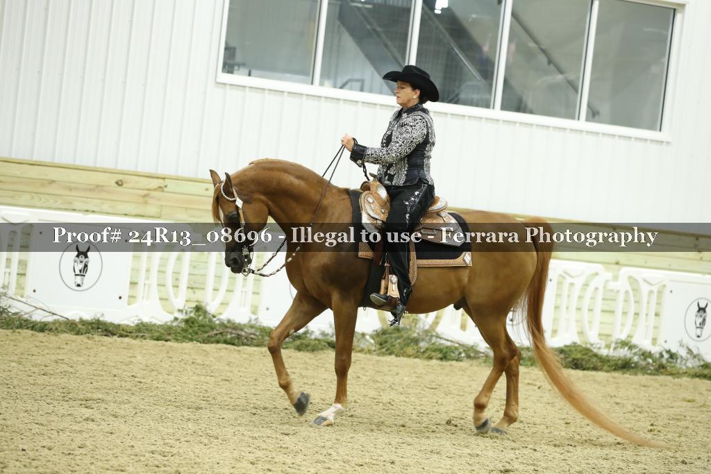 Proof 24R13_08696