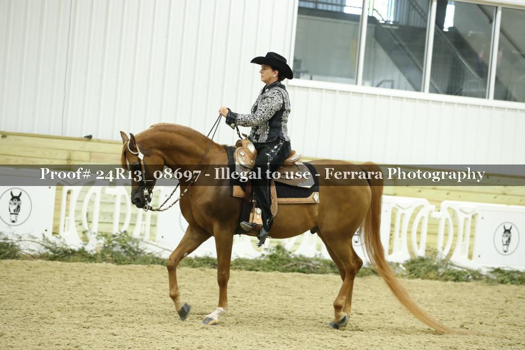 Proof 24R13_08697