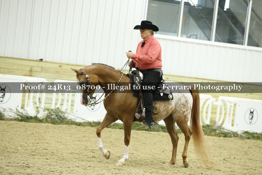 Proof 24R13_08700