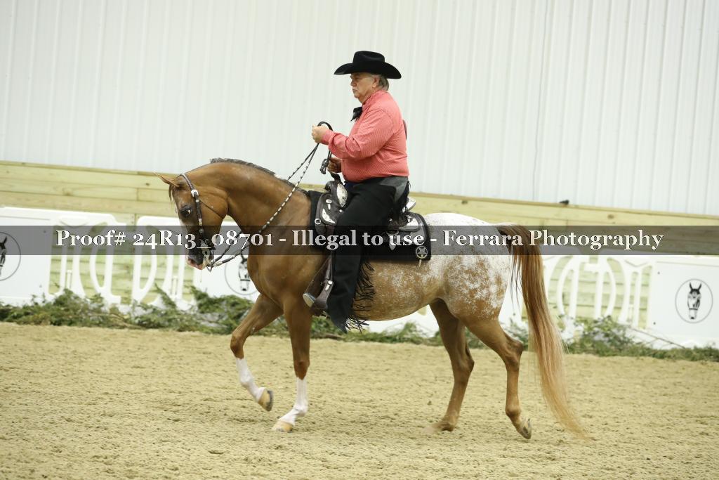 Proof 24R13_08701