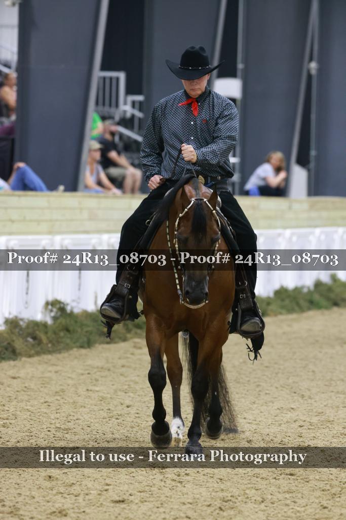 Proof 24R13_08703