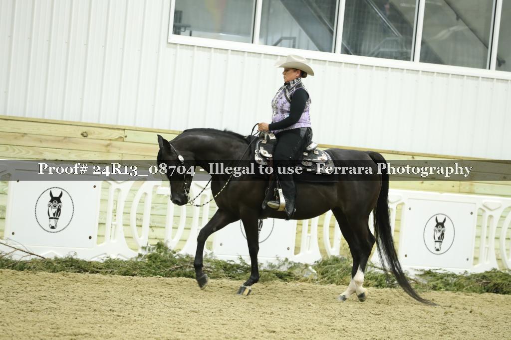 Proof 24R13_08704
