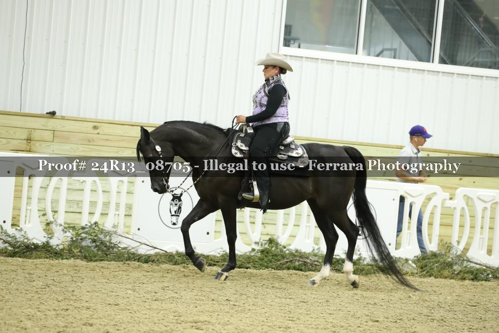 Proof 24R13_08705