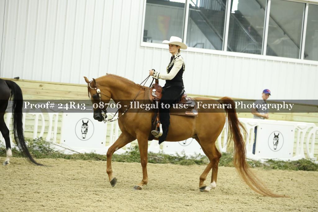 Proof 24R13_08706